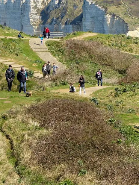 Camping L'aiguille Creuse, près d'Etretat et de ses Falaises