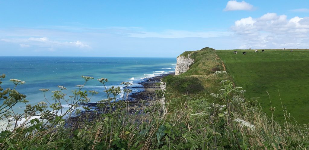 Vue des paysages d'Etretat près du Camping L'aiguille Creuse