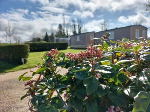 Camping L'aiguille Creuse : Printemps2023